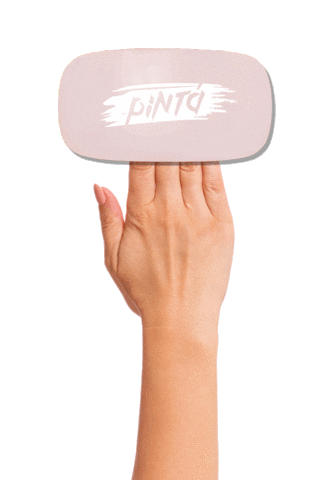 Pintá Sticker