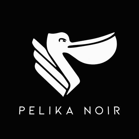 Pelikanoir GIF by Kevin Stocksiefen