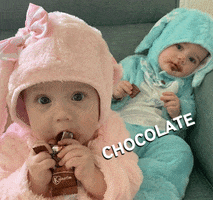 twinningituk chocolate twins twin chocoholic GIF