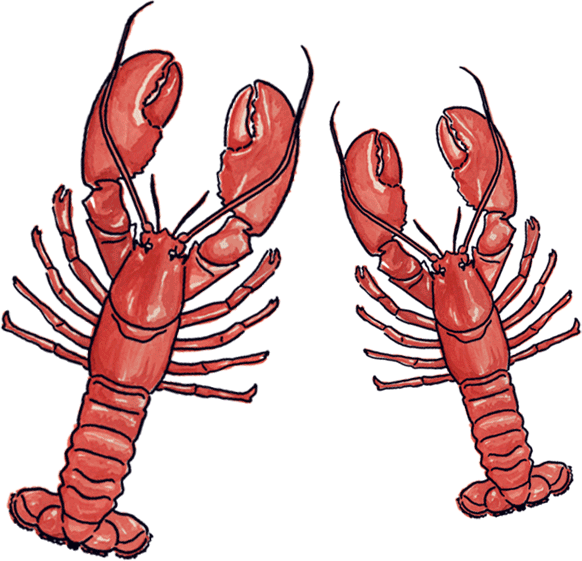 Friends Lobster Sticker by Pottery Barn for iOS & Android GIPHY