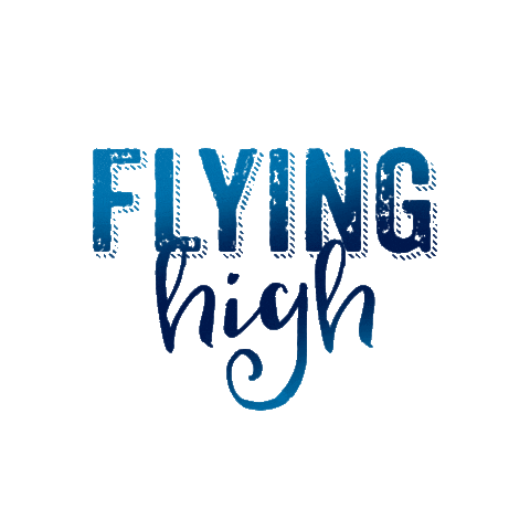 Flying High Sticker by Julian Edelman
