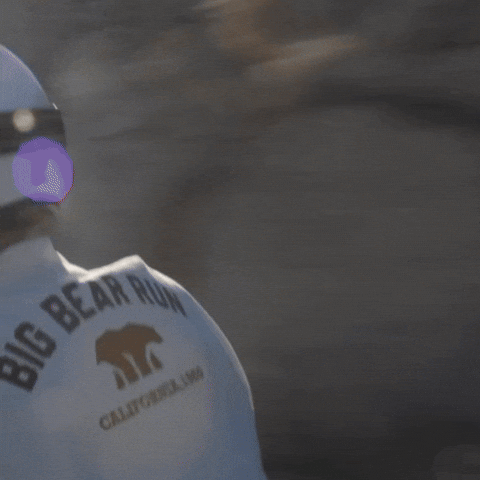 Bear650 GIF by Royal Enfield