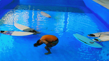 GIF by surfersmag
