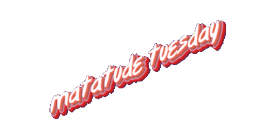 Associated Students at CSUN Sticker