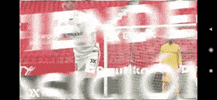 Everfx GIF