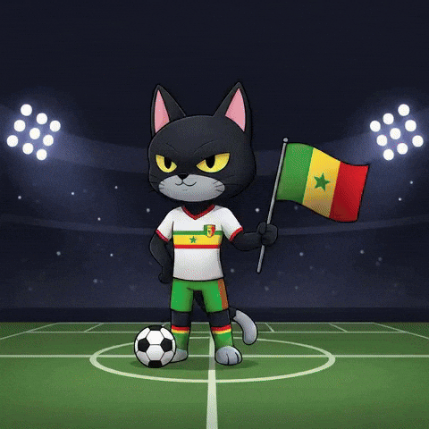 Football Soccer GIF by CATBAT