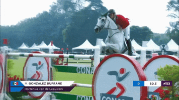 sport jumping GIF by FEI Global