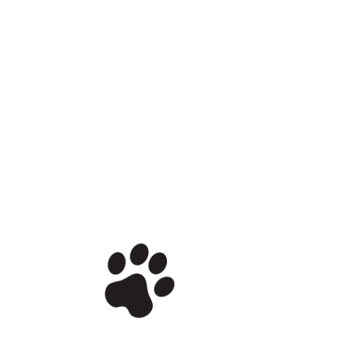 Cat Dog GIF by Flopster