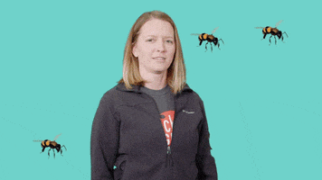 Arrested Development Bees GIF by StickerGiant