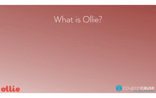 Ollie Faq GIF by Coupon Cause