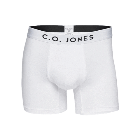 Underwear Boxer Sticker by C.O.JONES