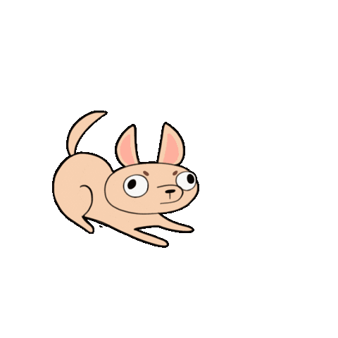 Animation Notify Sticker