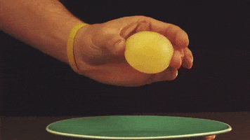 Bounce Egg GIF by Diply