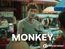 Money GIF by Centraal Beheer