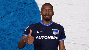Bundesliga Berlin GIF by Hertha BSC