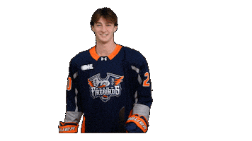 Game Day Goal Sticker by Flint Firebirds