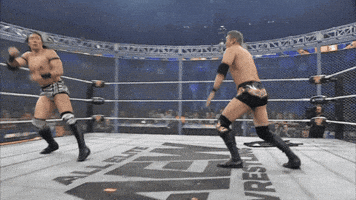 All Elite Wrestling GIF