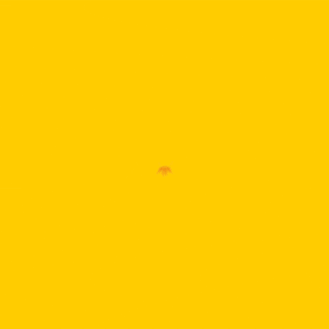 DHL Express México GIF