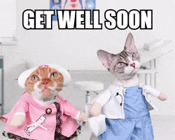 Get Well Soon Cat GIF