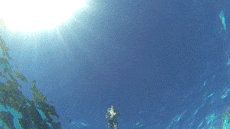 pool cannonball GIF