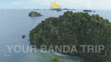 Indonesia Sail Boat GIF by Jakare Liveaboard