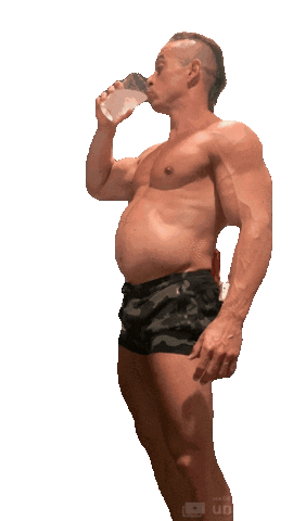 TheKingOfDiet Sticker