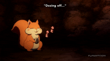 squirrel sleeping GIF by Funimation