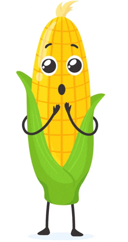 Corn GIFs - Find & Share on GIPHY