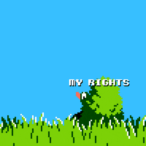 Republicans shooting at my rights