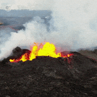 Pbs Nature Landscape GIF by Nature on PBS