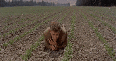 james dean GIF by Maudit