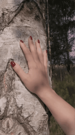 Nyugalom GIF