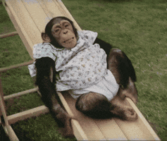Monkey Slide GIF