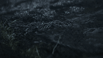 Metro GIF by Deep Silver