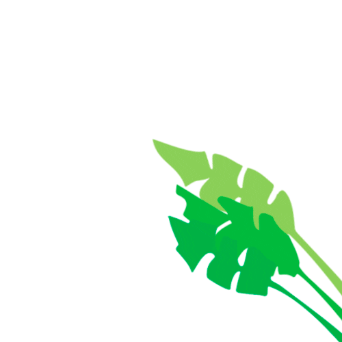 Plant Leaves Sticker by Boletim Econômico