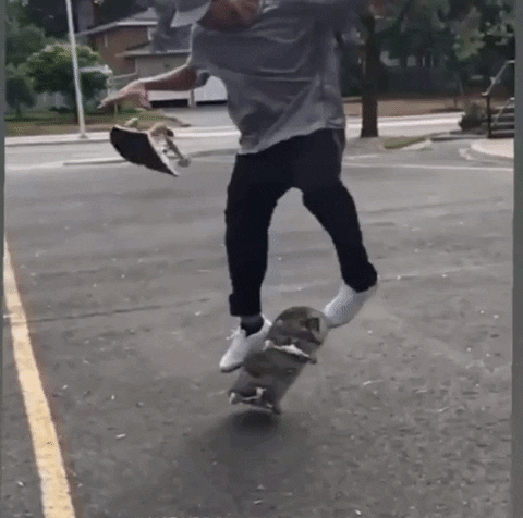 T0ny2Fingers hand kick skateboarding skateboard GIF