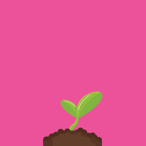 GIF by Moncus Park