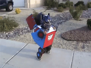 Transformers-costume GIFs - Get the best GIF on GIPHY