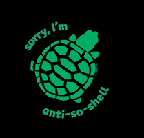 Tortoise GIF by World Turtle Day