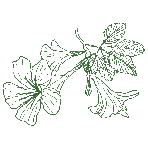 Ipê Negócios Imobiliários Sticker