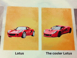 Red Lotus GIF