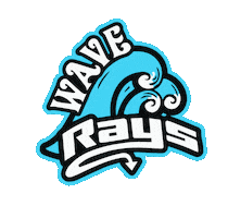 The Stingray Allstars Tampa Sticker