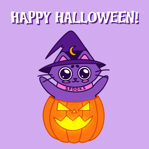 Greeting Trick Or Treat GIF by Spooks the Cat
