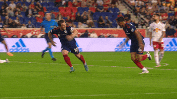 Chicago Fire Sport GIF by Chicago Fire Football Club
