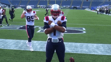 Black Panther Reaction GIF by New England Patriots