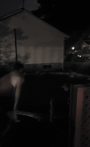 Fish GIF by Beast Lure Co.