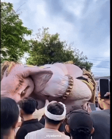 Elephant Ogohogoh GIF