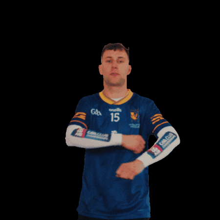 All-Ireland GIF by AIB