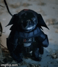 Halloween-costume GIFs - Get the best GIF on GIPHY Halloween-costume GIFs - Get the best GIF on GIPHY