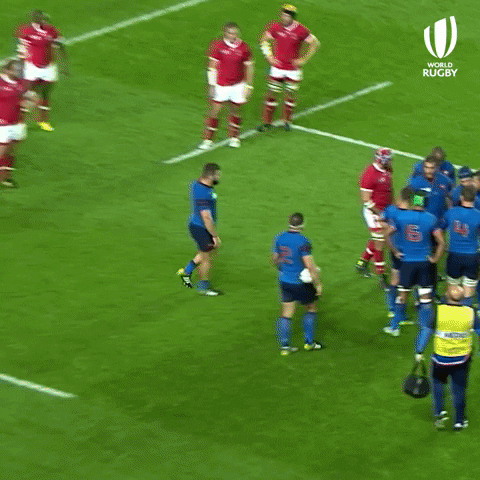 France Canada GIF by World Rugby